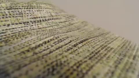 Mauro online show from 02.11.25