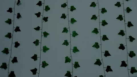 MIA online show from 11.12.25