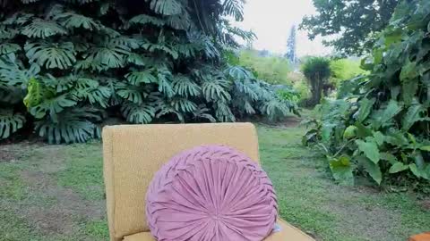 Mia Inkk online show from 03.02.26