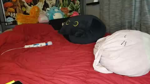 Mia Love online show from 01.10.25