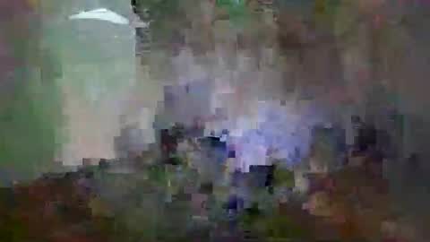 Snapshot of miagomezx chatting on 02.14.26 miagomezx online show from 02.14.26