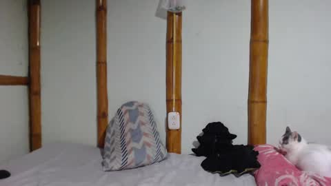 Mia  Sam online show from 03.01.25