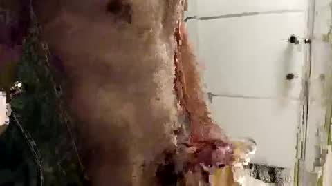 mickavis1975 online show from 12.14.25