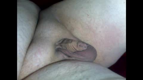 micropimmel online show from 01.30.25