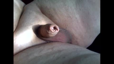 micropimmel online show from 09.11.25