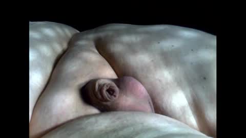 micropimmel online show from 09.12.25