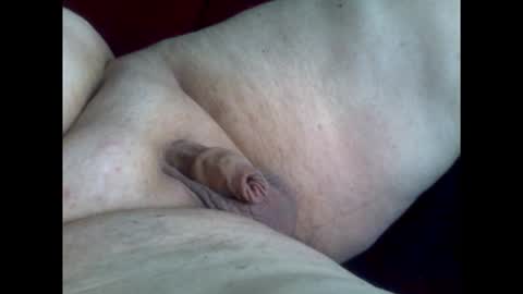 micropimmel online show from 01.08.26