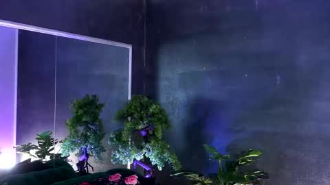 Alice online show from 03.07.25