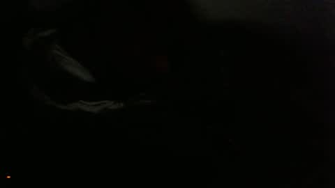 midnightasiko online show from 05.16.26