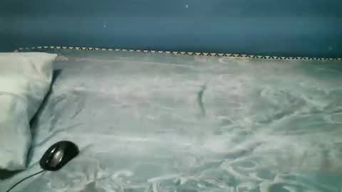 Caddy online show from 11.01.25