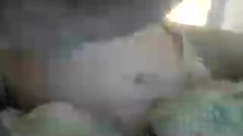 miguel 12345678012 online show from 06.14.26