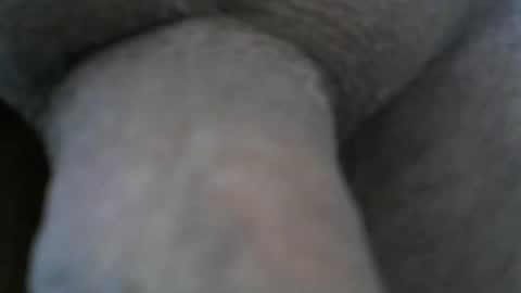 mike26051 online show from 12.24.24