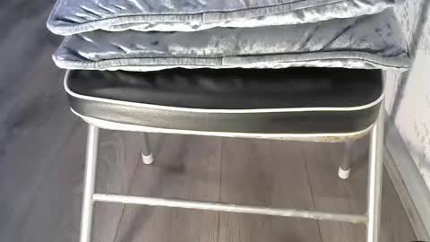 mike26051 online show from 12.15.25