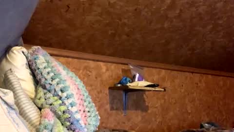 mikeblair5081 online show from 12.18.25