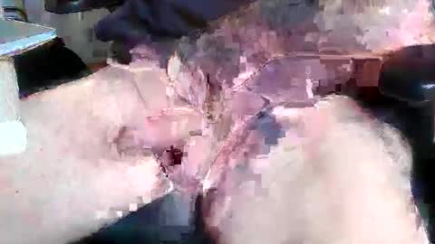 mikefun4711 online show from 10.28.25