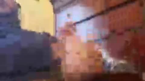 mikemalas1000 online show from 07.01.26