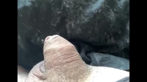 mikke332 online show from 02.10.25