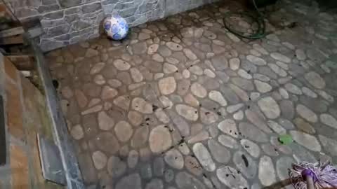 miky17cm online show from 01.15.26