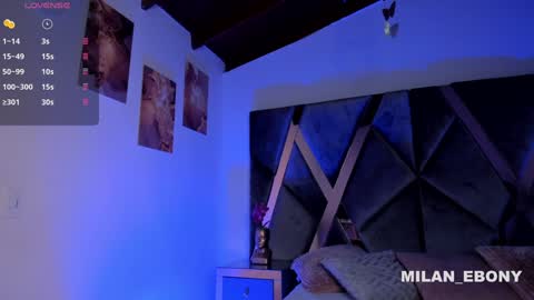 Milan  online show from 01.31.25