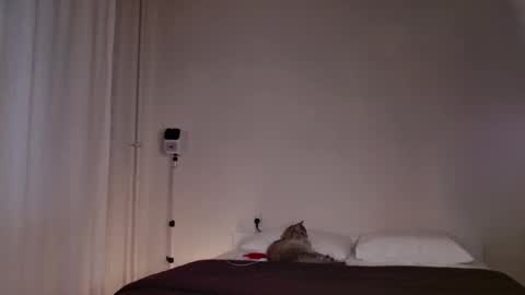 Snapshot of milky__way_ chatting on 10.05.25 milky__way_ online show from 10.05.25