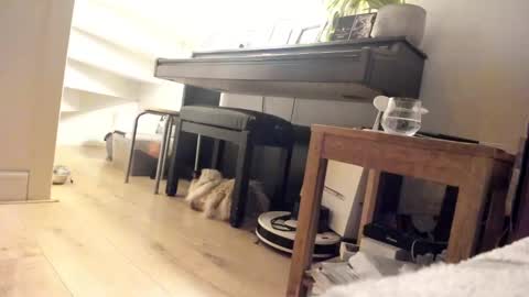 Milu online show from 03.05.25