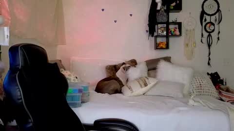 Mindy Mars online show from 01.16.26