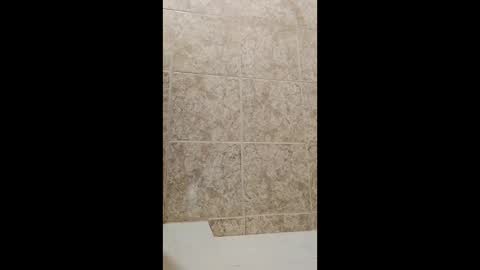 mineiro1514 online show from 04.01.26