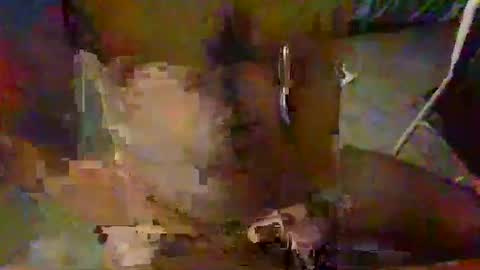 minoas31 online show from 12.09.24