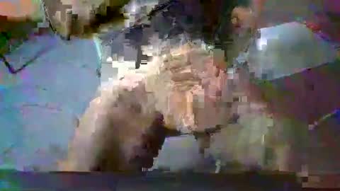 minoas31 online show from 12.13.24