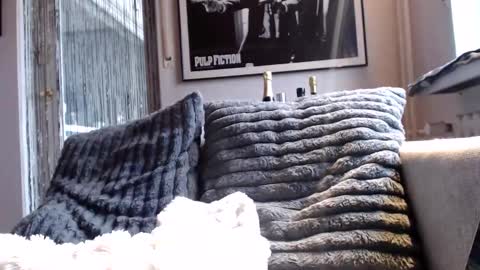 Ben online show from 02.10.26