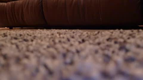 misohoney007 online show from 04.14.26