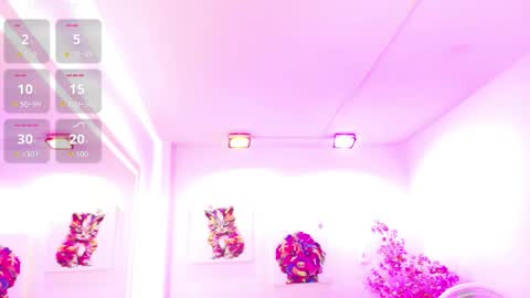 Melanie online show from 03.21.26