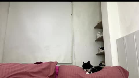 missangeldust online show from 10.27.25