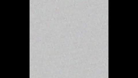 D A N A online show from 09.11.25