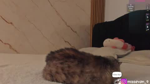 Snapshot of missevan chatting on 04.22.26 Sami Evan online show from 04.22.26