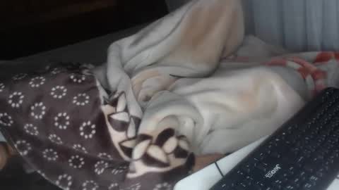 sarah online show from 12.28.24