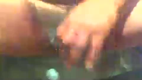 misterbator99 online show from 07.29.26