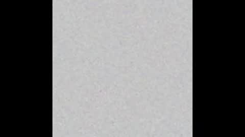 Mitch online show from 03.22.26