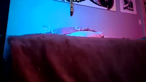 Daddy720 online show from 03.22.26