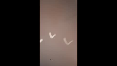 Mike4using online show from 03.10.26