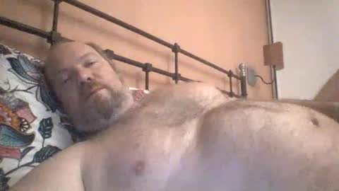 Snapshot of mofu781s chatting on 02.03.26 mofu781s online show from 02.03.26