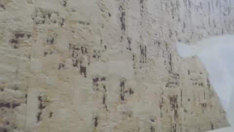 Snapshot of mohito200711 chatting on 01.21.25 Mohito200711 online show from 01.21.25