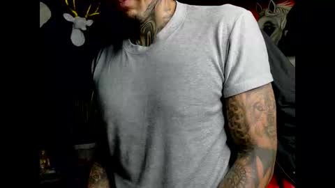 Molotov online show from 02.02.26