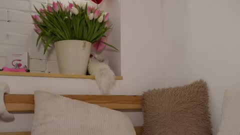 Snapshot of monicaasis chatting on 03.08.25 monicaasis online show from 03.08.25