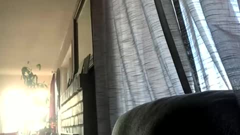 Monkee Dance online show from 12.17.24