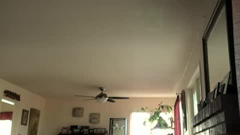 Monkee Dance online show from 02.16.25