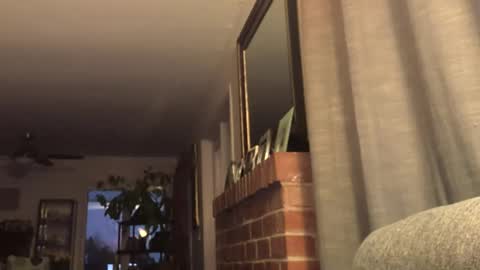 Monkee Dance online show from 02.22.25