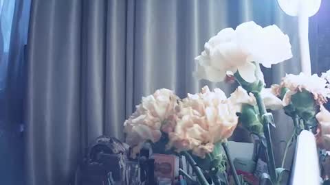 moodiemira online show from 03.12.26