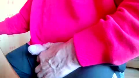 mookie2 online show from 03.23.26