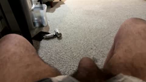 moosho online show from 03.31.26